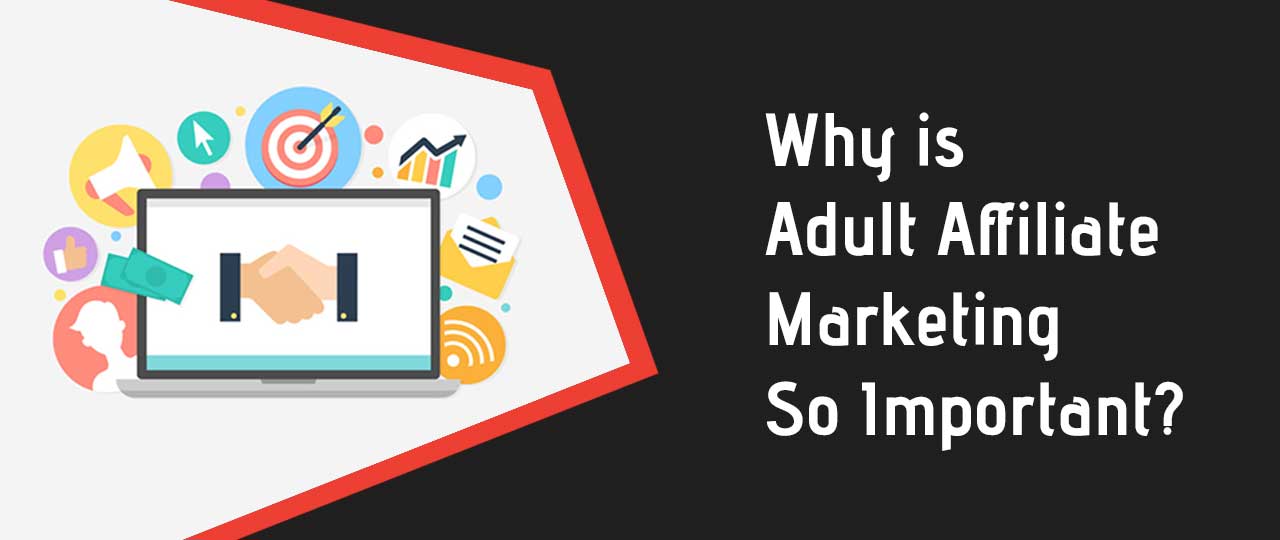 The Basics Of Adult Affiliate Marketing In 2020 Adultseomaven 9781